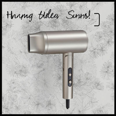 Professionele haardroger van 2000 W met 110.000 RPM BLDC-motor en 500 miljoen negatieve ionen voor salon- en thuisgebruik